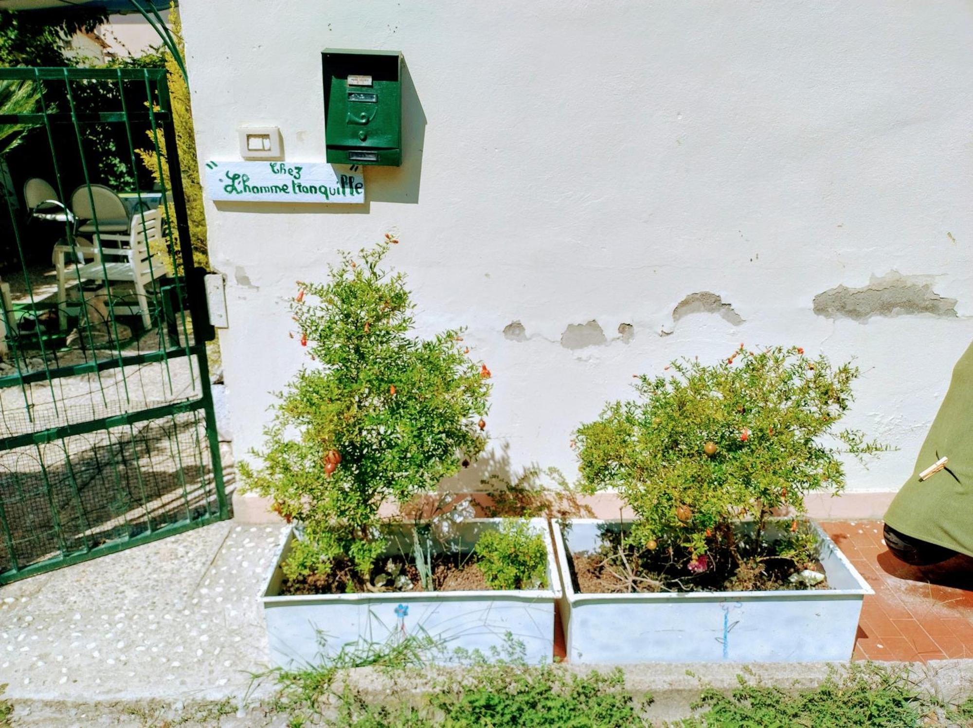 Ferienwohnung Chez L'Homme Tranquille Arena Metato Exterior foto